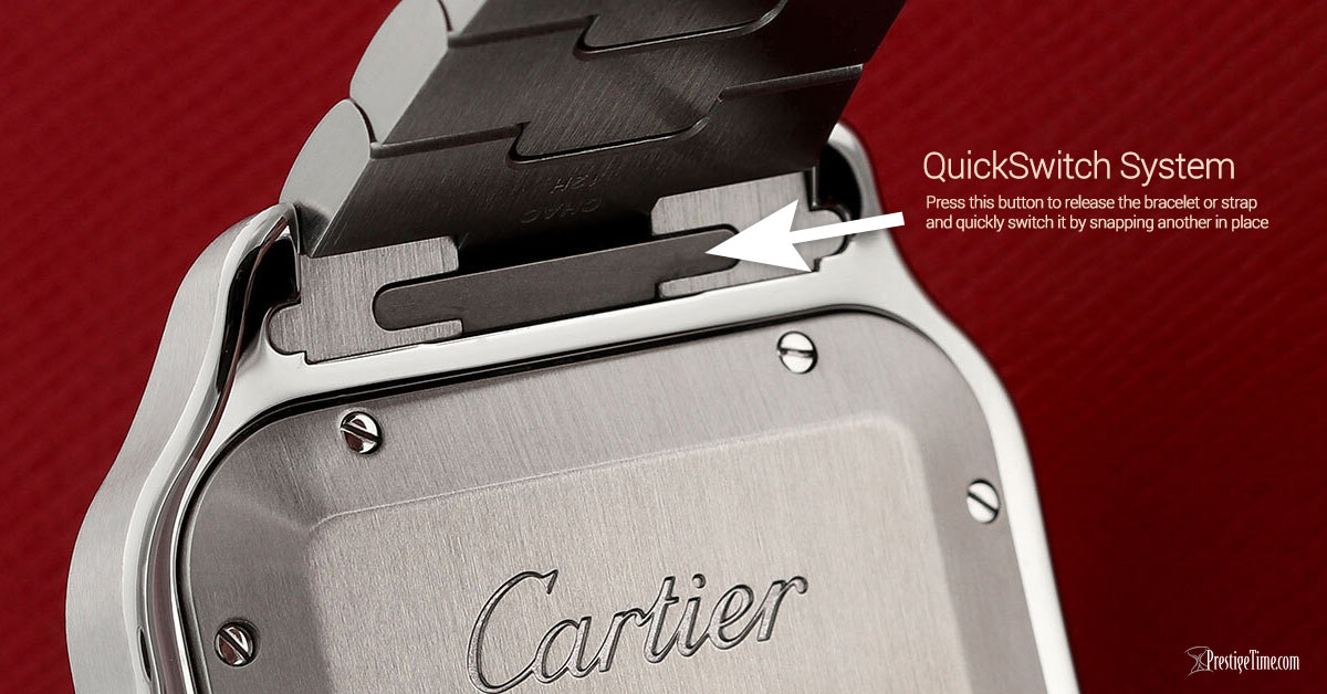 Cartier Santos De Cartier Large QuickSwitch System