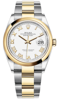 126203 White Roman Oyster