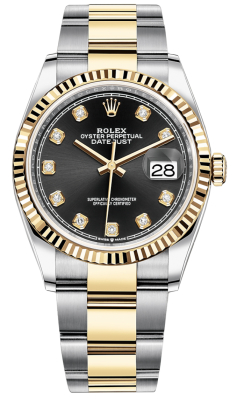126233 Black Diamond Oyster