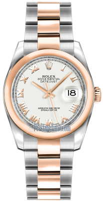 116201 White Roman Oyster
