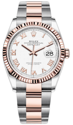 126231 White Roman Oyster