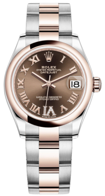 278241 Chocolate Roman VI Oyster