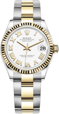 278273 White Roman Oyster