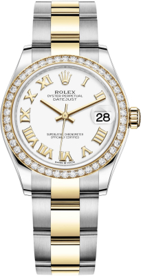 278383rbr White Roman Oyster