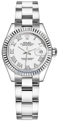 279174 White Roman Oyster