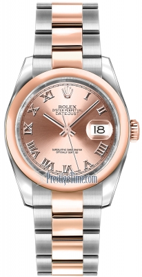 116201 Pink Roman Oyster