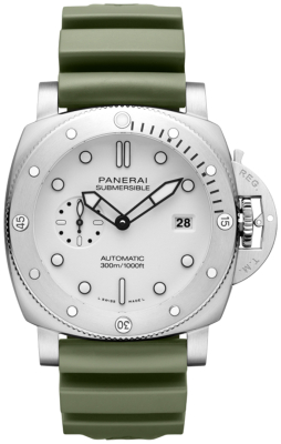 PAM01595