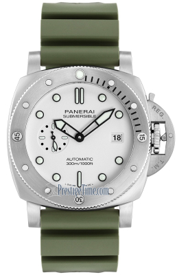 PAM01595