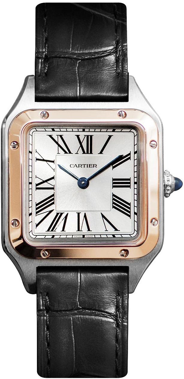 w2sa0012 Cartier Santos Dumont Small Ladies Watch