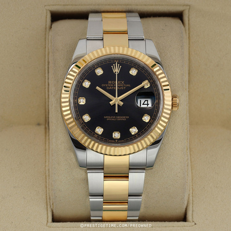 126333 Black Diamond Oyster