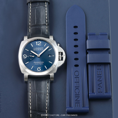 PAM01313